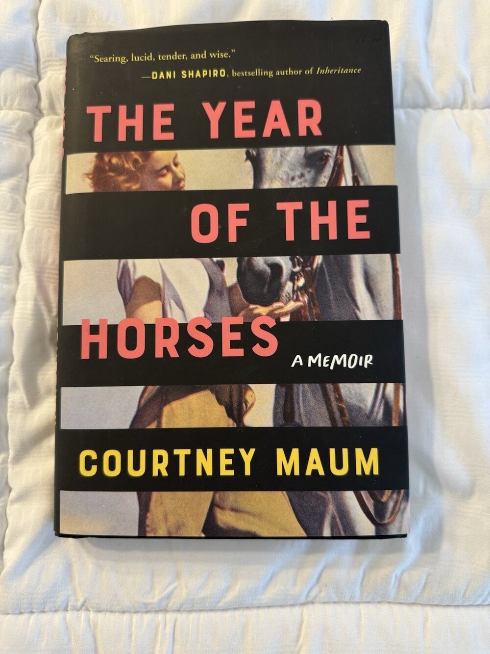 The Year of the Horses by Courtney Maum Book Memoir